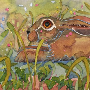mary ann rogers Hare 18cm x 46cm bright 11.3.25.jpeg